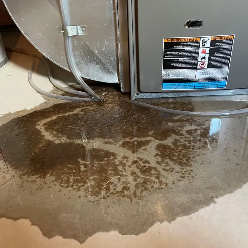 Pipe Burst and Leak Restoration in Perham, MN