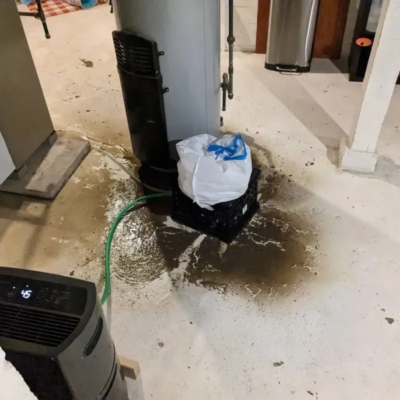 Sewage Backup Cleanup Service in Perham, MN